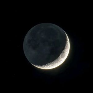 美国又大又粗性交片
